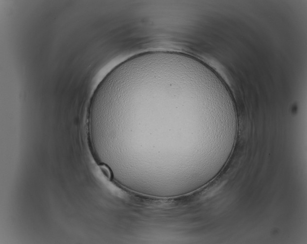 X0000089461387200707061254