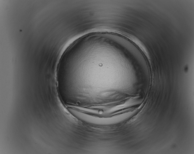 X0000089461388200707061254