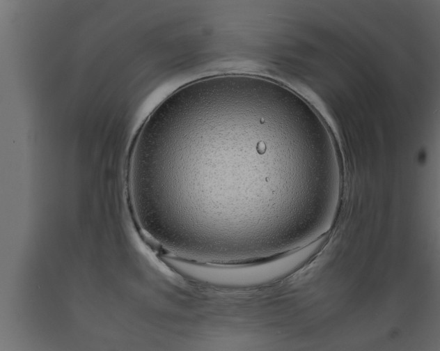 X0000089461389200707061254