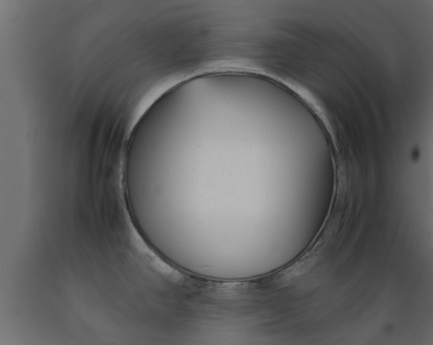 X0000089461390200707061254