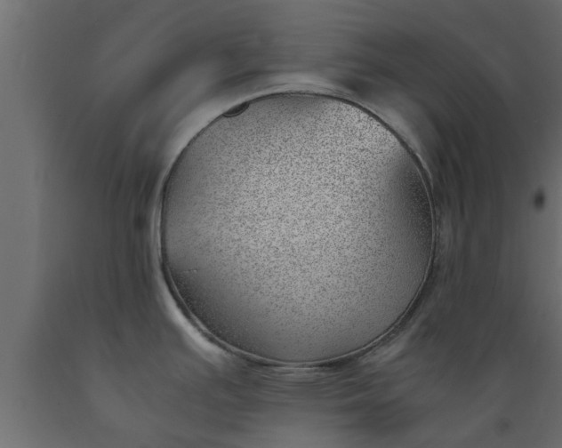 X0000089461391200707061254