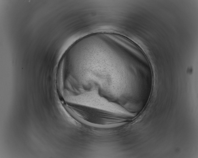 X0000089461392200707061254