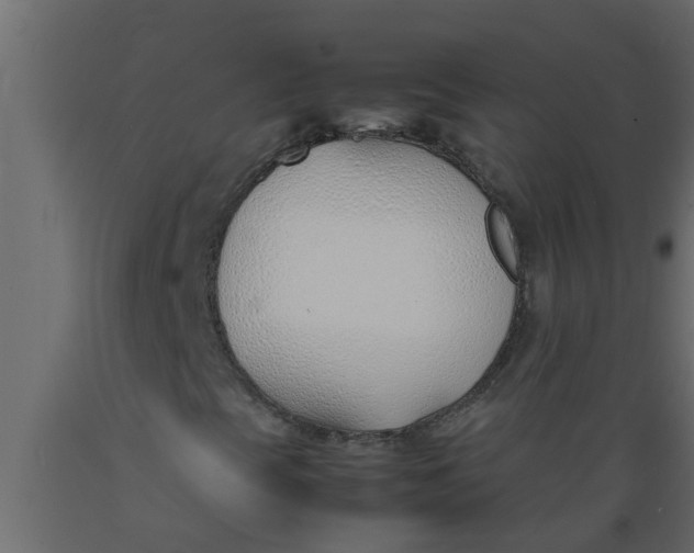 X0000089461393200707061253