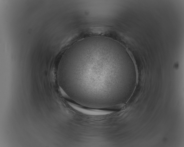 X0000089461394200707061253