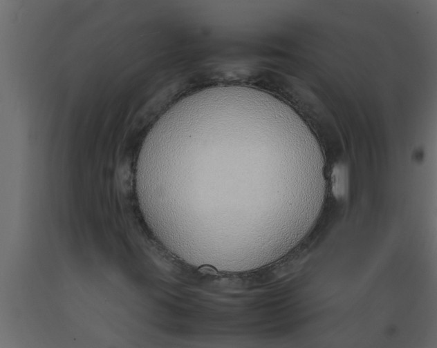 X0000089461395200707061253