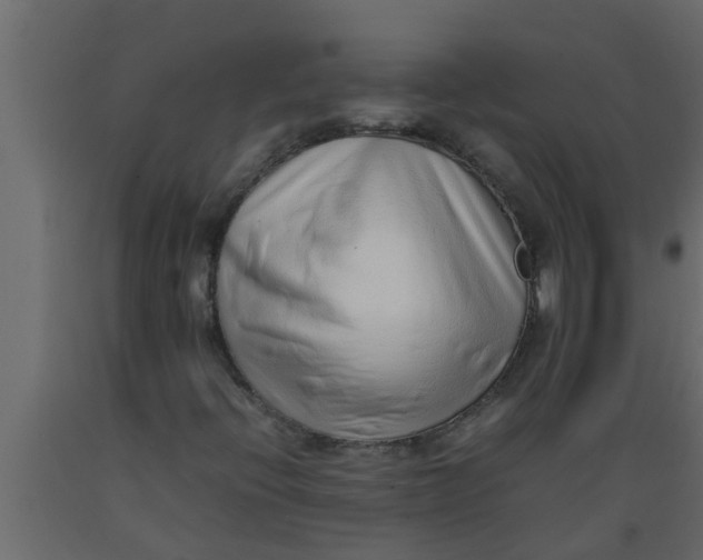 X0000089461396200707061253