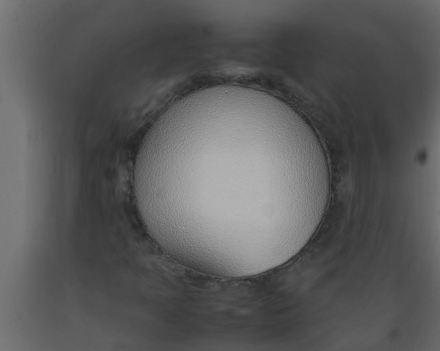 X0000089461397200707061253