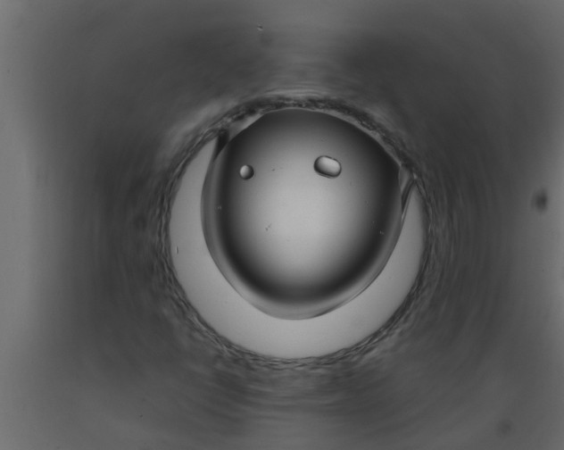 X0000089461398200707061253