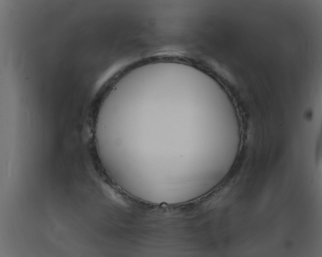 X0000089461400200707061253