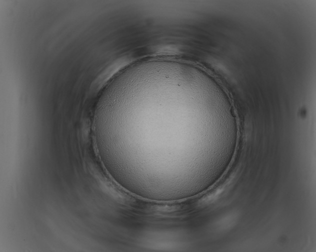 X0000089461401200707061253