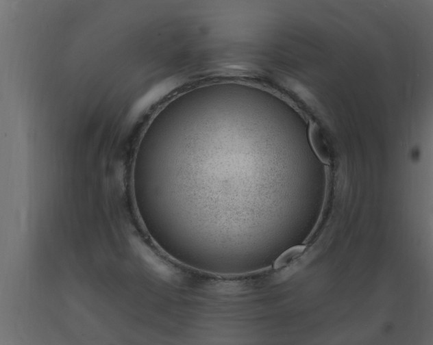 X0000089461402200707061253