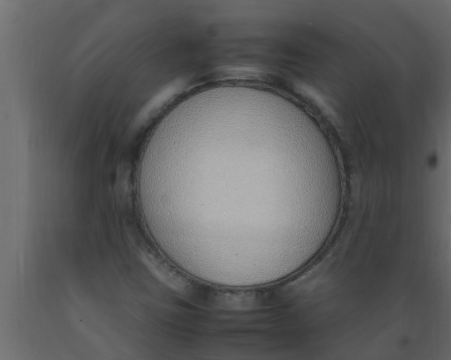 X0000089461403200707061253