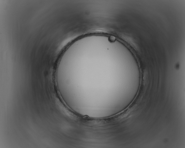X0000089461404200707061253
