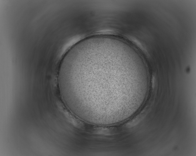 X0000089461405200707061253