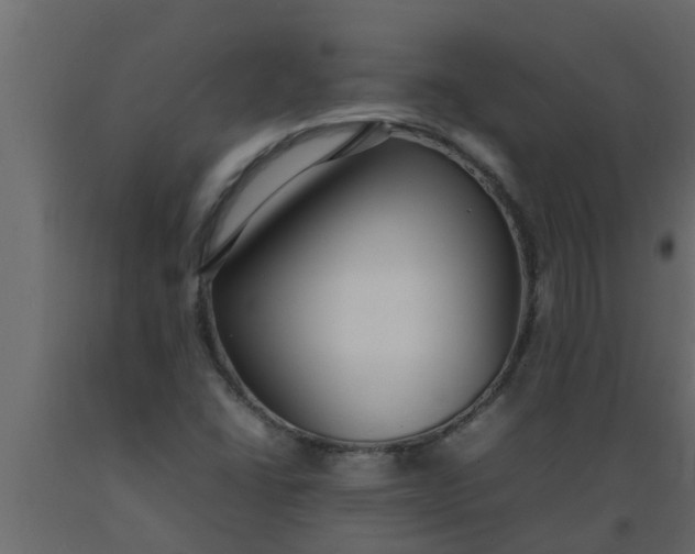 X0000089461406200707061253