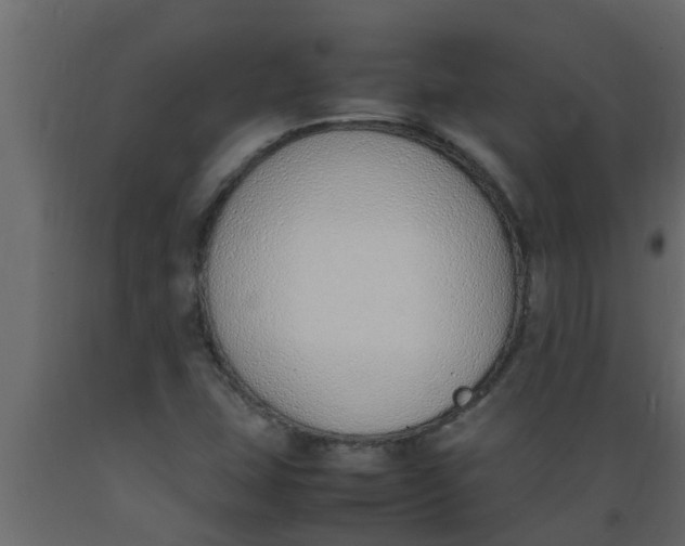 X0000089461407200707061253