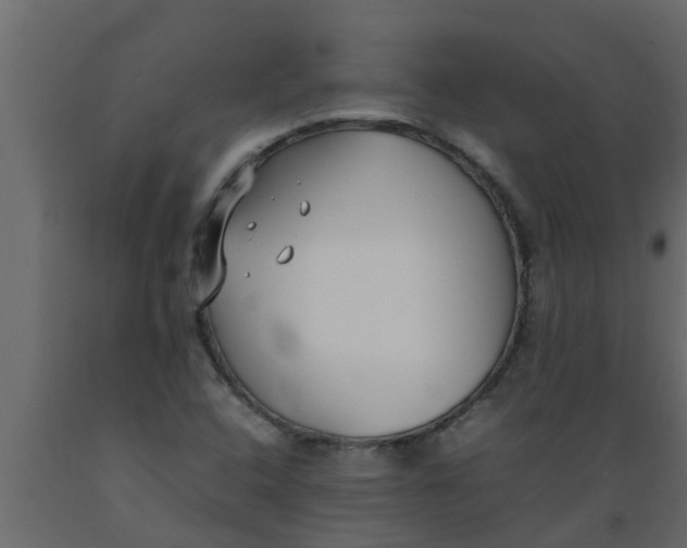 X0000089461408200707061253