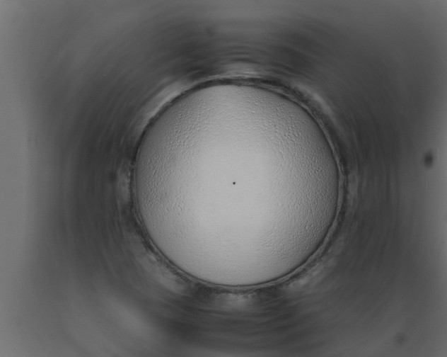 X0000089461409200707061253