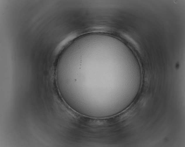 X0000089461411200707061253