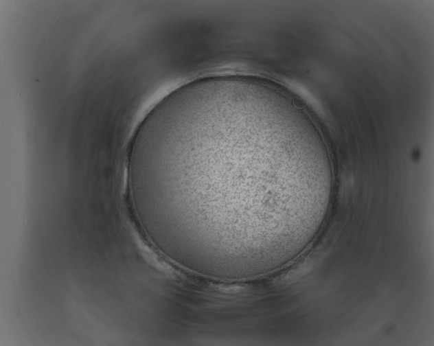 X0000089461413200707061253