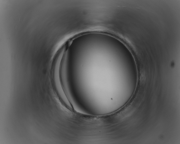 X0000089461414200707061253