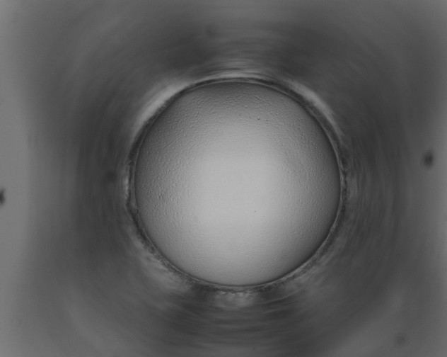 X0000089461415200707061253