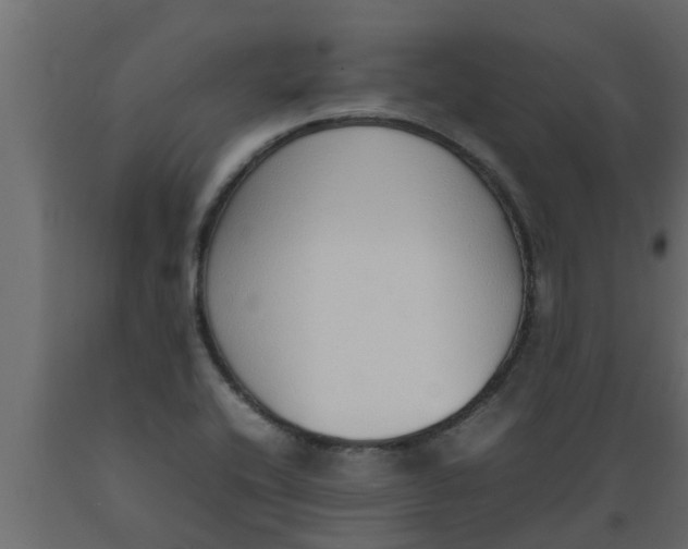 X0000089461416200707061253