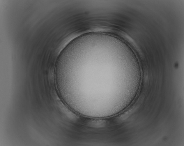 X0000089461417200707061253
