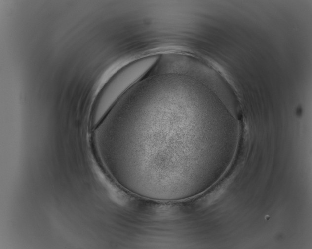 X0000089461418200707061253