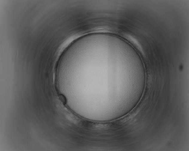 X0000089461419200707061253