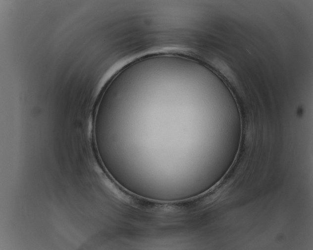 X0000089461420200707061253
