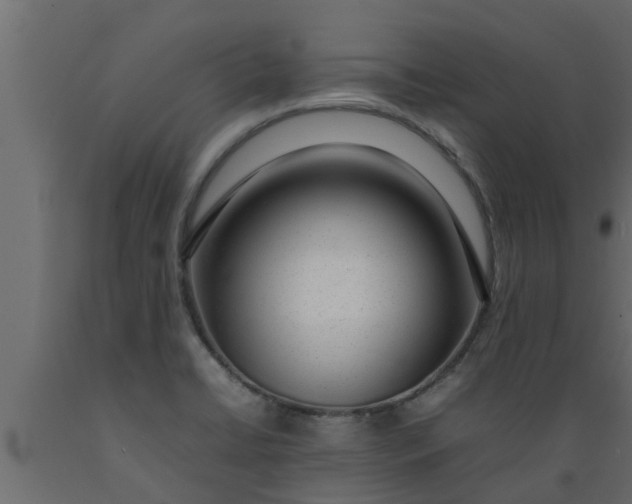 X0000089461422200707061253