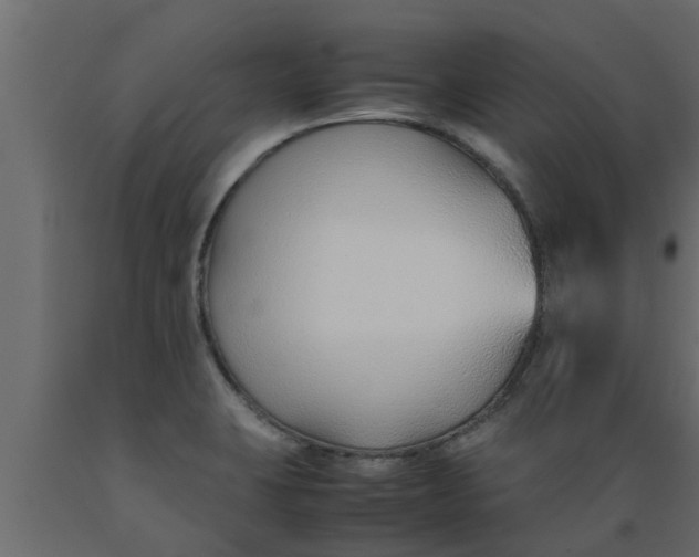 X0000089461423200707061253