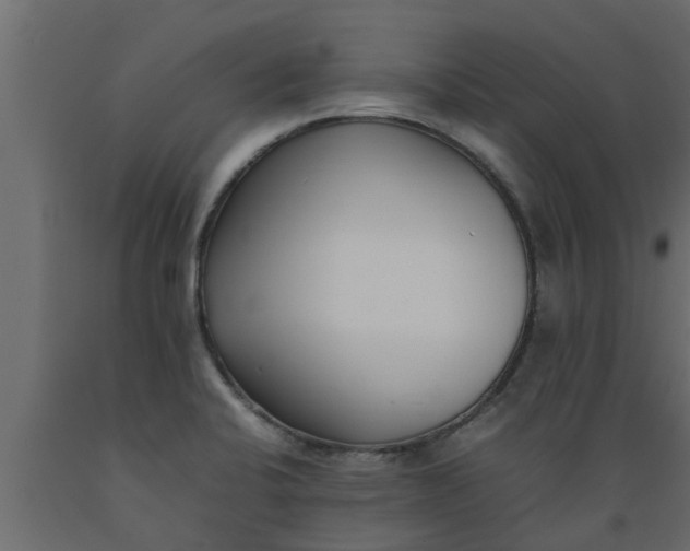 X0000089461424200707061253