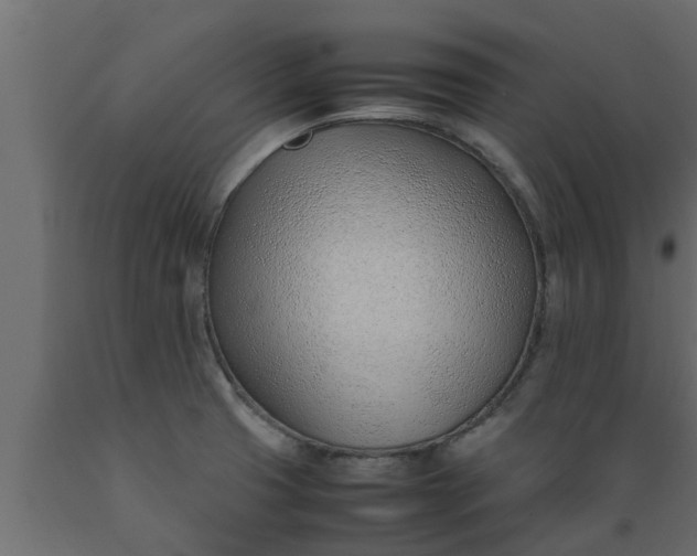 X0000089461425200707061253