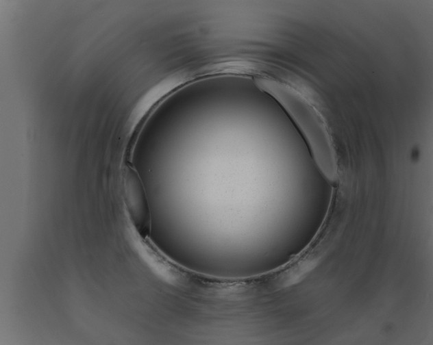 X0000089461426200707061253