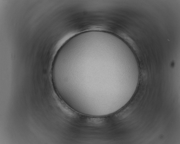 X0000089461427200707061253