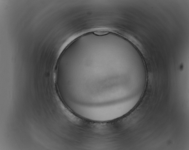 X0000089461428200707061253