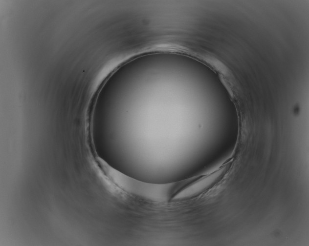 X0000089461430200707061253
