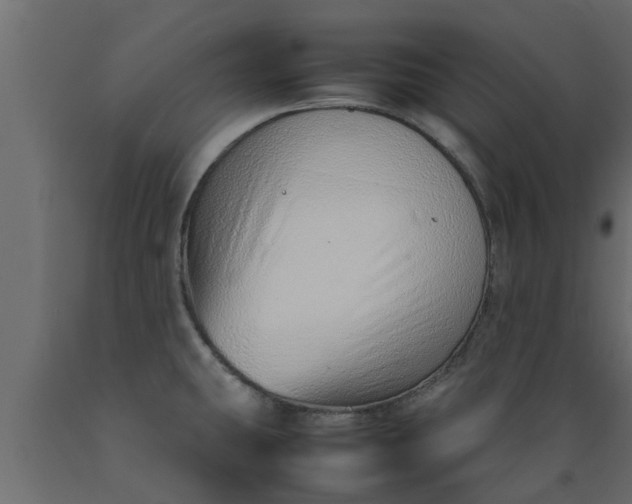 X0000089461431200707061254