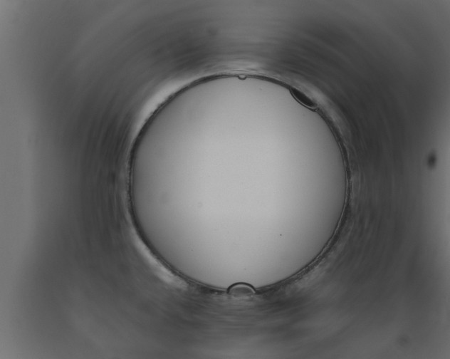 X0000089461432200707061254