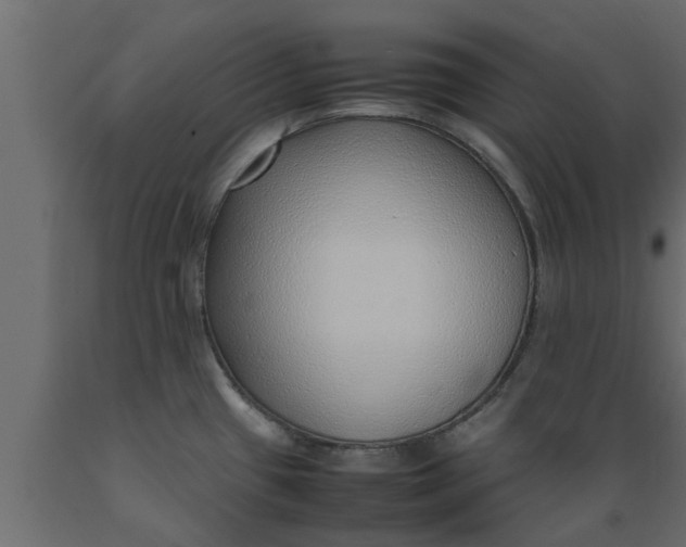 X0000089461433200707061254