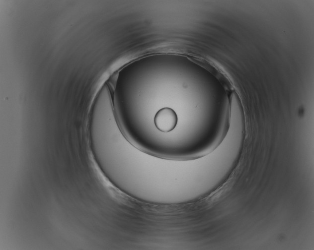 X0000089461434200707061254