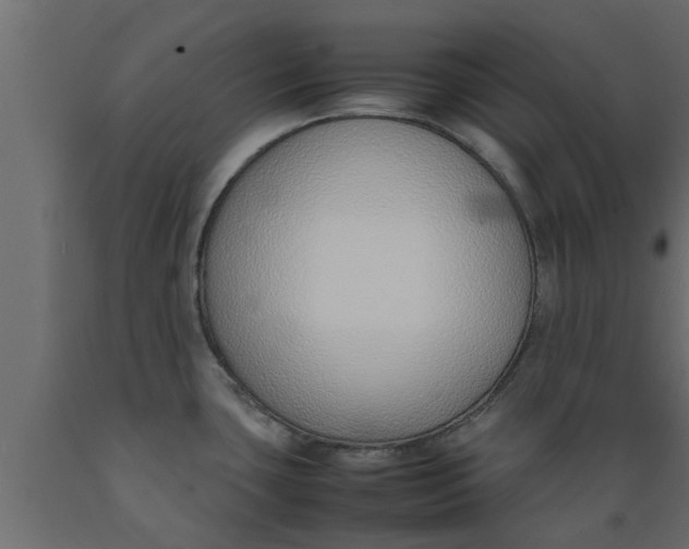 X0000089461435200707061254