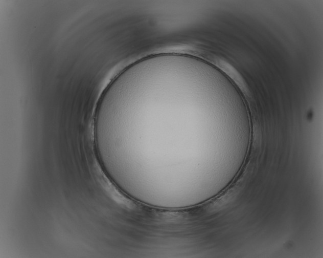 X0000089461436200707061254