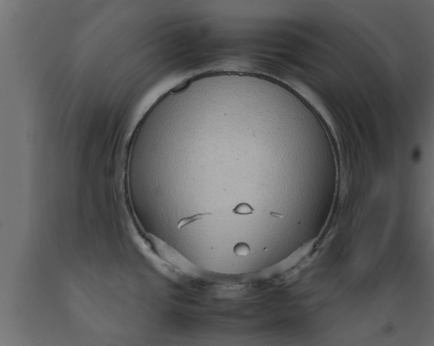X0000089461437200707061254
