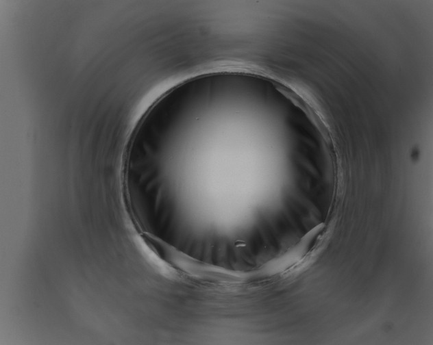 X0000089461438200707061254