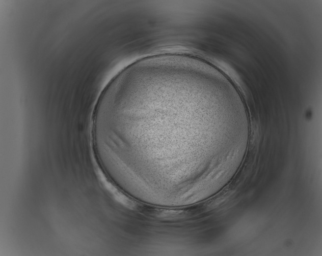 X0000089461439200707061254