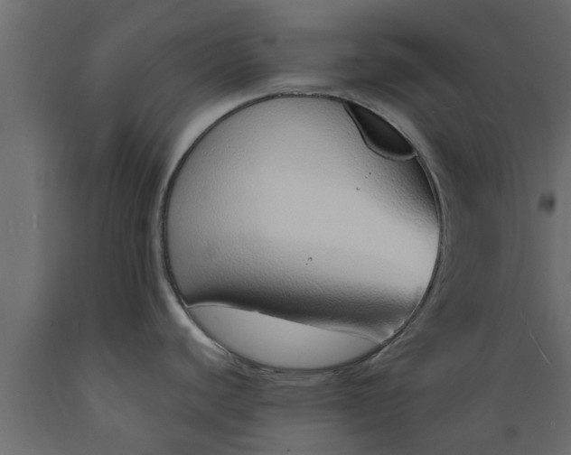 X0000089461440200707061254