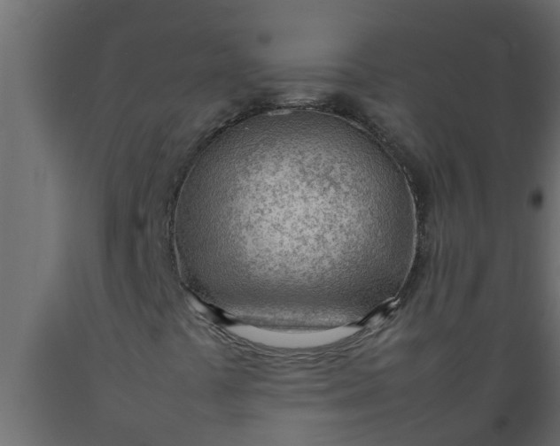 X0000089461441200707061253